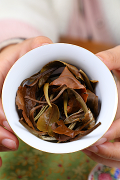 小牛牛采集到茶-月光白