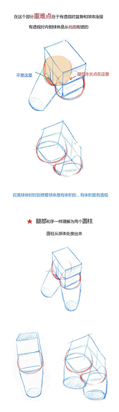 leijiexiong采集到四肢