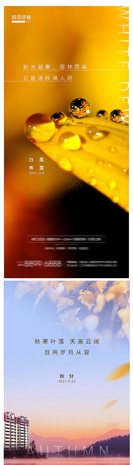房地产白露寒露秋分海报-源文件