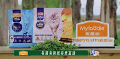 ﹎吖豆页采集到品牌植入