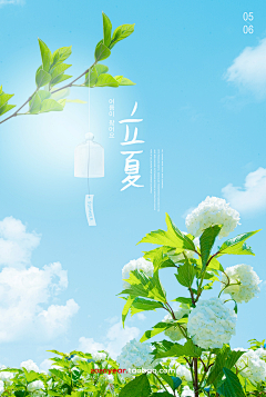 琳子_96采集到节气/节假日~海报