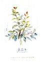 第一次在外面画的水彩画，很怕有-度薇年