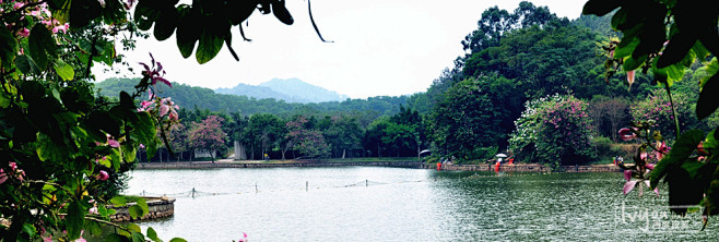 菱湖风景区 - 安庆市风景图片特写第3辑...
