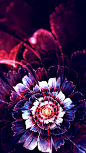 17a21c91c414117b73e237f5e75ee1fe549ea043105c28-Z4hp1M_fw658.webp