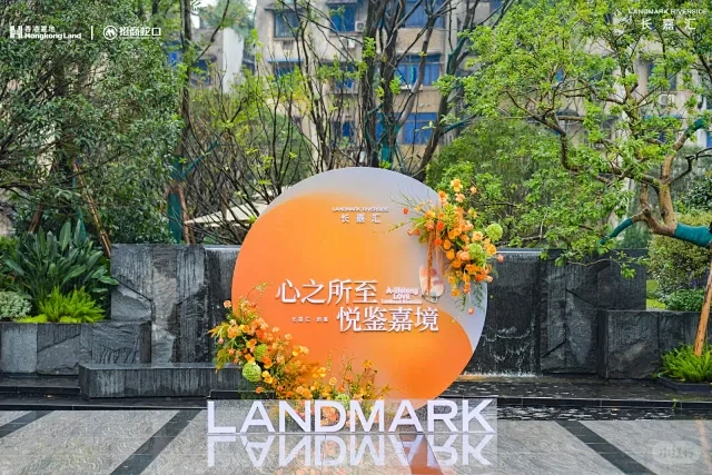 活动用花#紫绿色系 - 小红书