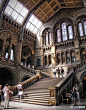 英国自然历史博物馆（Natural History Museum） ​​​​