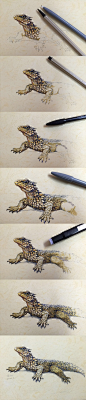 牛皮纸涂鸦-角蜥蜴