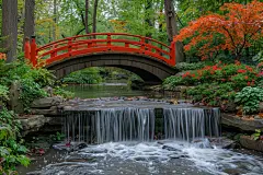 公园初秋自然美景