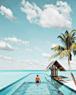 ↠ ⠀⠀  Λ L E X 在 Instagram 上发布：“Pool or ocean?  @OOReethiRah  #OOReethiRah #OOMoments” : 7,312 次赞、 135 条评论 - ↠ ⠀⠀  Λ L E X (@alexpreview) 在 Instagram 发布：“Pool or ocean?  @OOReethiRah  #OOReethiRah #OOMoments”