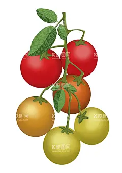 手绘西红柿插画  - 源文件下载【酷图网】植物,果蔬,营养,圣女果,西红柿,红色,绿色,插画,配图,免扣图,分层