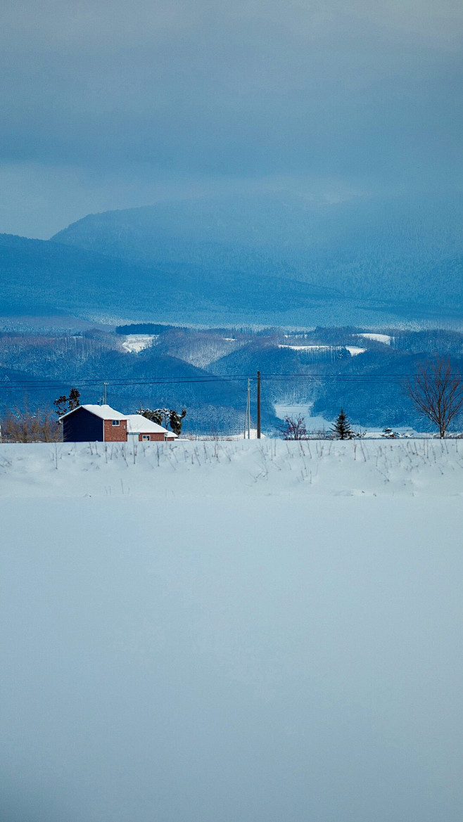 雪景