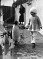 1937年的某天，一个小女孩带着她的宠物企鹅们在遛弯