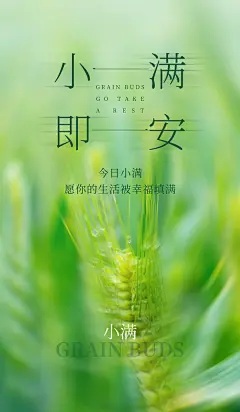 小满推广小满宣传画夏季二十四节气小满海报
