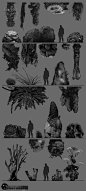 Plants, Anton Kuhtitskiy : Concepts and photo references for the project Survarium