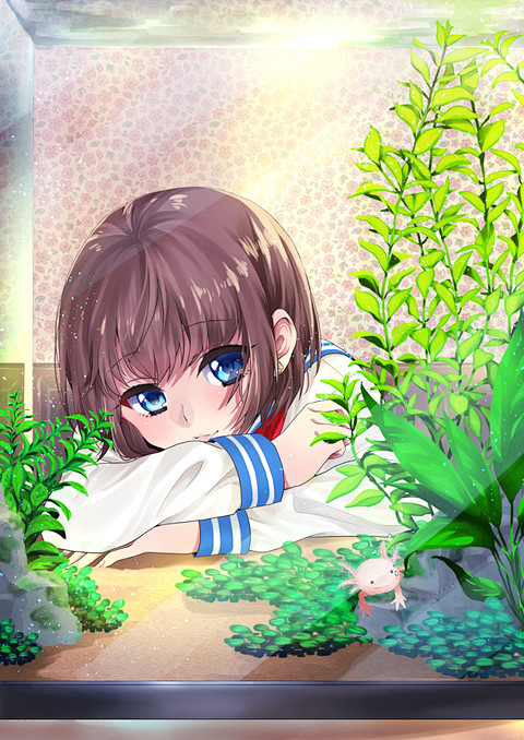 【ミ(・ 。・)彡】六角龙特辑【神奇生物...