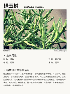 Kano·川页采集到A-3植物种单体