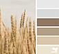 field tones