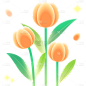 传统节气立春春天春季春日弥散花朵植物元素素材