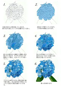 动漫 - 首页 - 微博