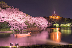 梧桐盛夏采集到优景