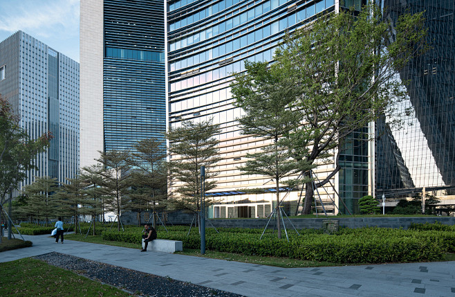 深圳前海19单元03街坊 信利康&前海自贸大厦 现代 商业景观 台阶 景观亭 植物 草坪 （SED新西林景观国际，拥有国家高新技术企业资质 ...