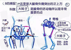 良久啊采集到人体