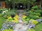 Front Yard Gardening - Traditional - Landscape - Minneapolis - Heidi's Lifestyle Gardens