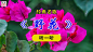 3284fabdbdd4deb8c68d213dc2aa662f.jpg?Expires=1698656840&OSSAccessKeyId=LTAI5tHRQqCEDwXx5rkPo5q9&Signature=KiU3WJ%2FRRnSZMYXIp4RVaNn%2F08Q%3D (85.4 KB,1000*560)