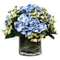 Check out this item at One Kings Lane! 11" Hydrangea w/ Lace in Pot, Faux: 