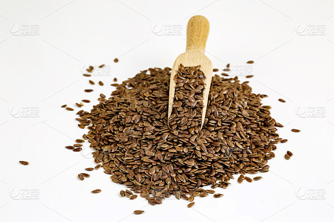 亚麻(Linum usitatissimum)是一种棕色亚麻种子。也被称为亚麻籽，亚麻籽和普通亚麻。