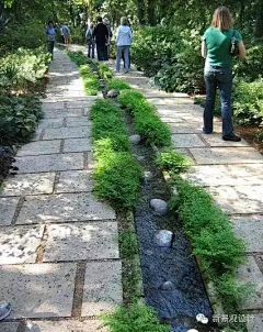 骚人没客采集到公园