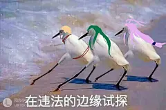 刀剑乱舞 千子村正 笑面青江 蜻蜓切 表情包