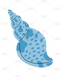 海螺，海螺的海螺。色彩艳丽的贝壳，海螺，海螺或海软体动物.