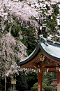 Shinto shrine