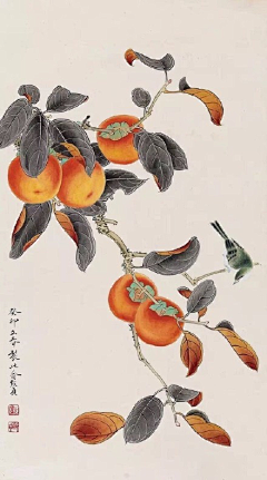 江岸野蕊采集到柿子