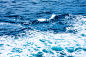 Sea _大海 水冰_T2020329 #率叶插件，让花瓣网更好用_http://ly.jiuxihuan.net/?yqr=10157140#