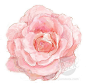 ❀