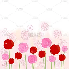 康乃馨