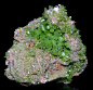 Pyromorphite from Spain
for auction by Exceptional Minerals