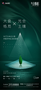 绿色 意向稿