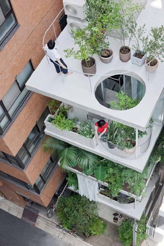 东京夹缝中的“花园瘦楼” 日本建筑师西泽...