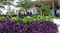 010-Knight Plaza, Miami by James Corner Field Operations