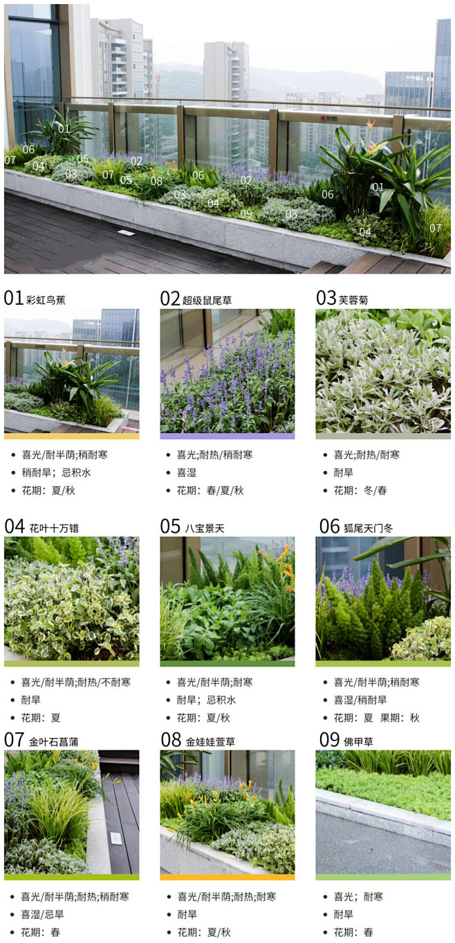jpg,136x281 像素