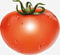 番茄矢量图免抠素材_新图网 https://ixintu.com 水果蔬菜 番茄 红番茄 矢量图