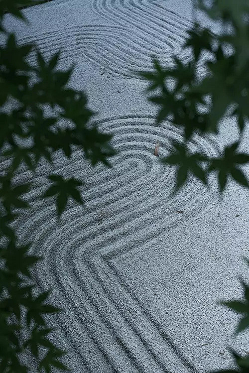 苏南旭辉铂悦府示范区——成都赛肯思景观