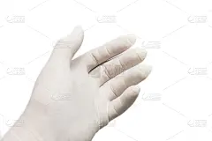 白色手套,衣服,动物手,水平画幅,人,健康保健,护手套