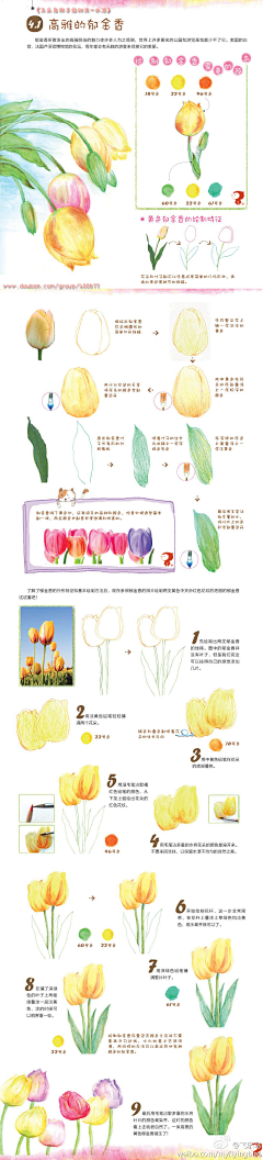 荔枝皮采集到水彩教程