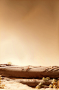 00136-786356183-Soft light,A horizontally placed,a wooden log,Light yellow background,simple background,_lora_【电商】- 真实感场景 _ 温馨 _ 苔藓 _ 鲜花_V1_1_,