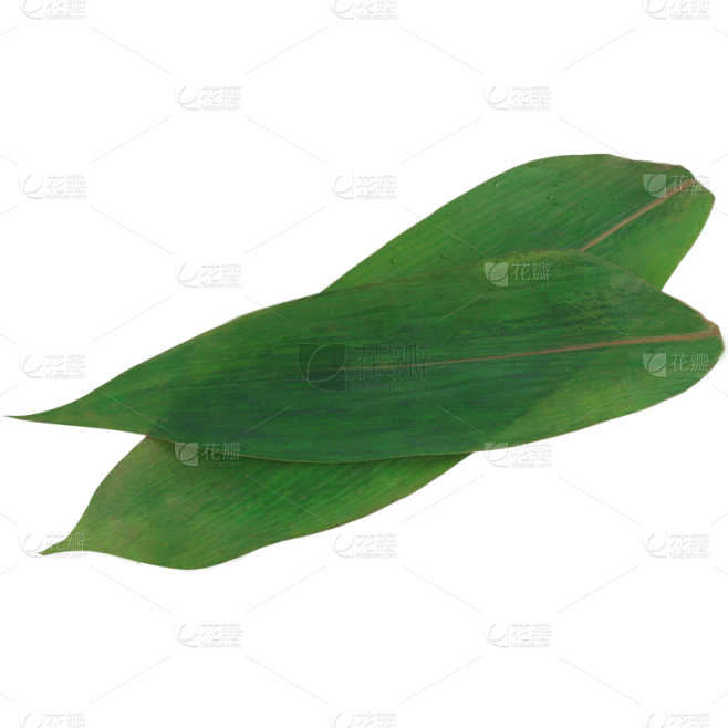 端午节实景粽叶元素素材素材-花瓣网
