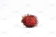 废纸篓,红毛丹,有腐臭油脂味的,荔枝,不完全的,生食,疲劳的,饮食,食品,图像